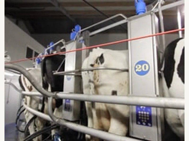 Cow Retention для контроля выхода