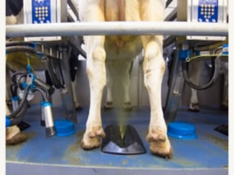 AquaJetz and Teat Care: hygiene belongs in a validated cycle — 2