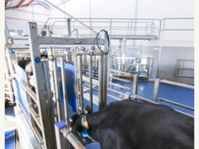 Gate Options: gates control total parlour throughput — 2