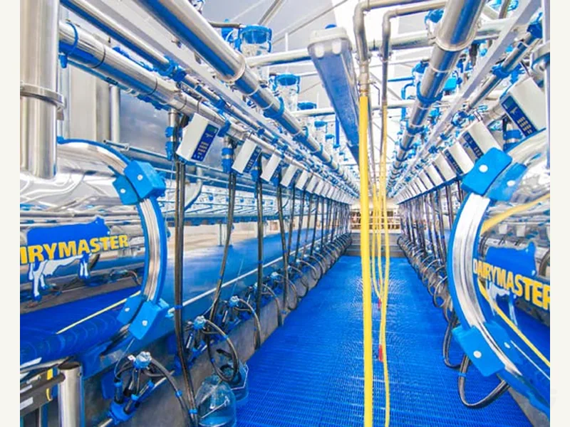 Milk receiver in a Swiftflo Double system