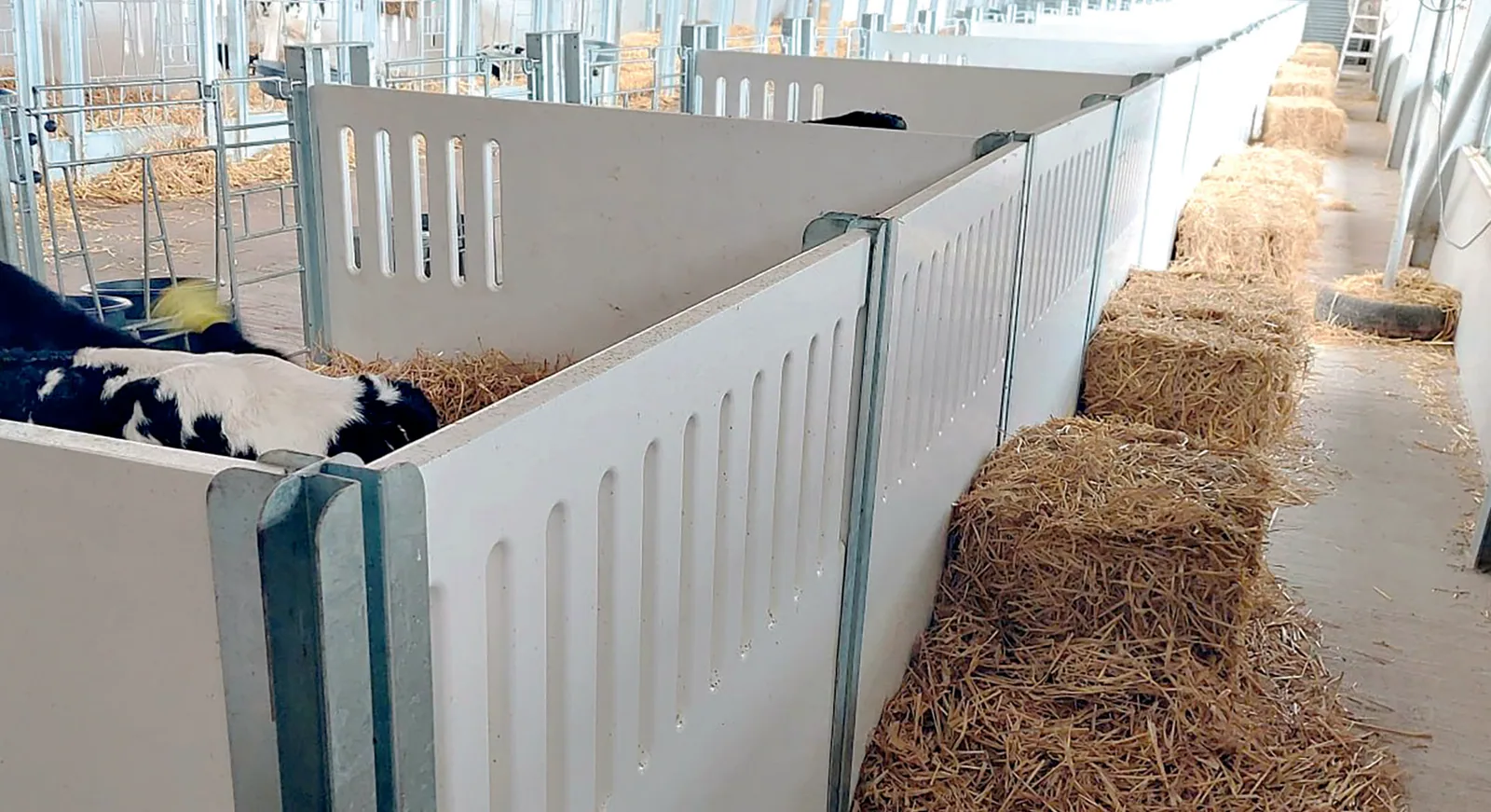 VDK Agri Indoor Combo — Indoor calf housing
