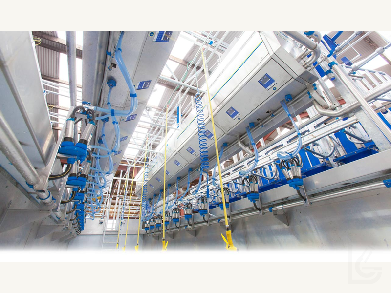 DairyMaster milking parlour