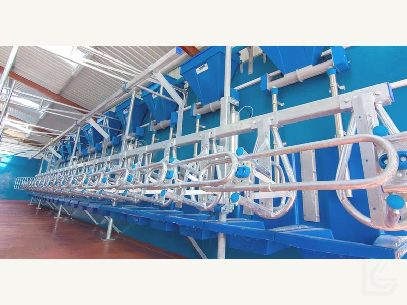 Stallwork Options — Milking parlour stallwork
