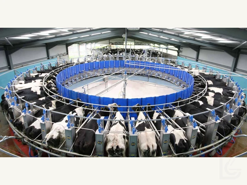 DairyMaster Swiftflo Cow Rotary milking parlour